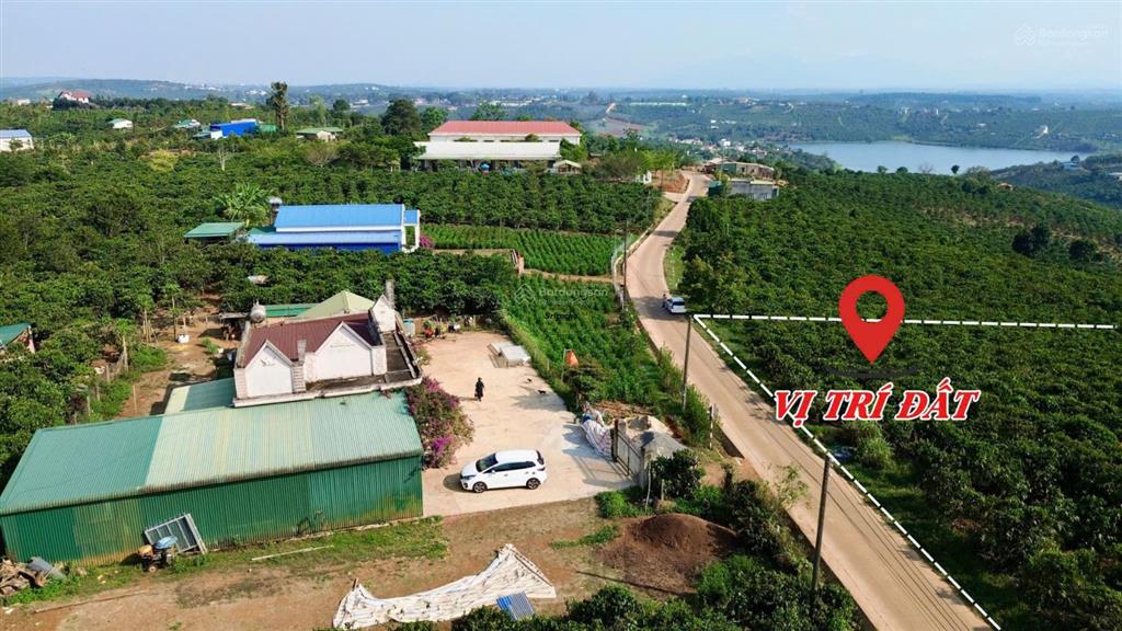 Đất xây nhà vườn tại phúc thọ lâm đồng | 7m mặt tiền bê tông | giá 379 triệu