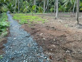 Vườn dừa có thổ cư + gần bến phà bình ninh |diện tích 729m2 sẵn 100m2 thổ