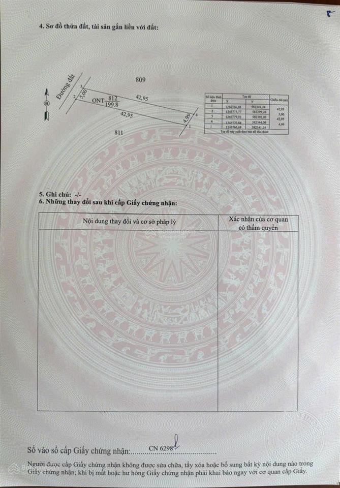 Vườn nhãn tây ninh 299tr, đất 5x40m nhãn đang cho thu hoạch