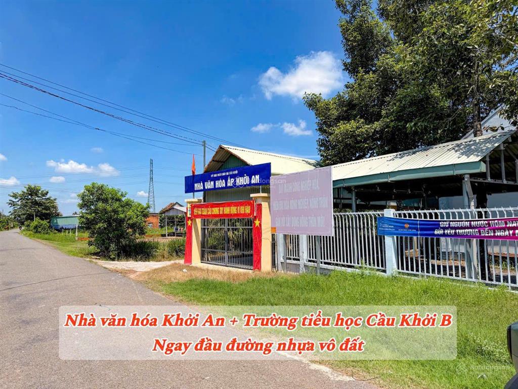 Vườn nhãn tây ninh 299tr, đất 5x40m nhãn đang cho thu hoạch