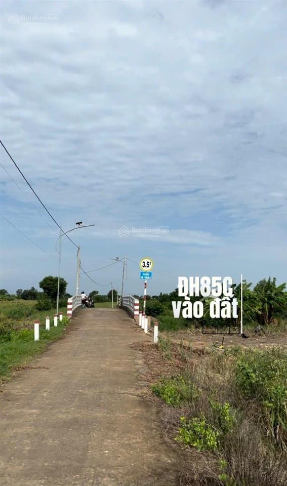 Đất vườn 960m² chỉ 390 triệu chuyển thổ cư được phú đông, tân phú đông