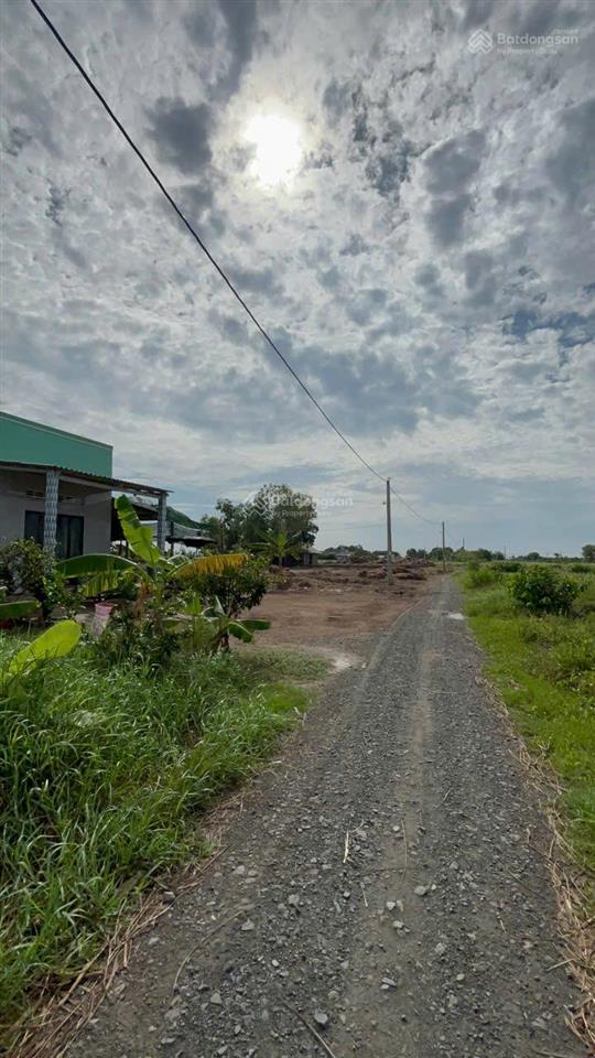 Đất vườn 960m² chỉ 390 triệu chuyển thổ cư được phú đông, tân phú đông