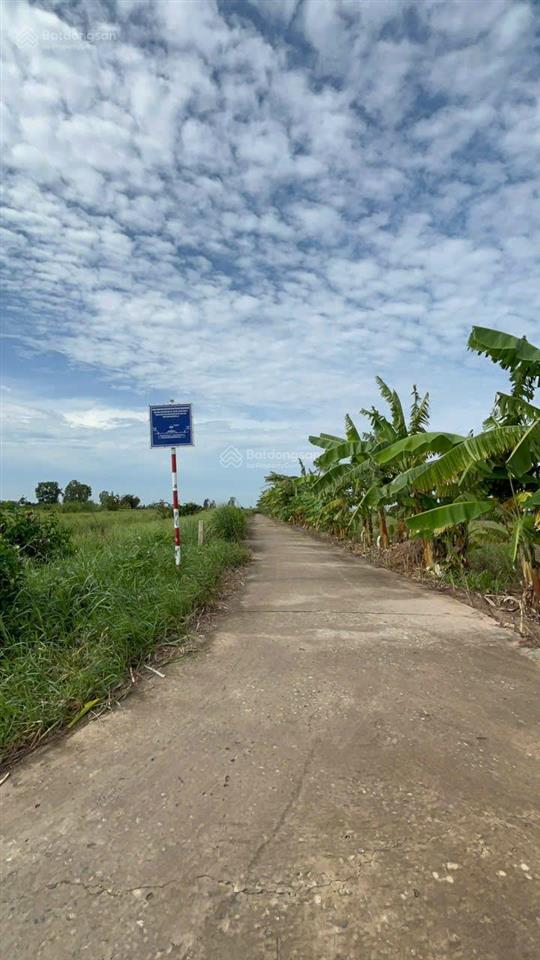 Đất vườn 960m² chỉ 390 triệu chuyển thổ cư được phú đông, tân phú đông