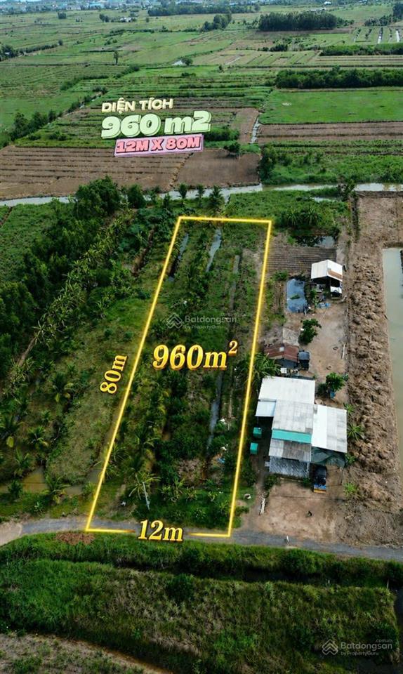 Đất vườn 960m² chỉ 390 triệu chuyển thổ cư được phú đông, tân phú đông