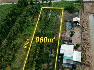 Đất vườn 960m² chỉ 390 triệu chuyển thổ cư được phú đông, tân phú đông