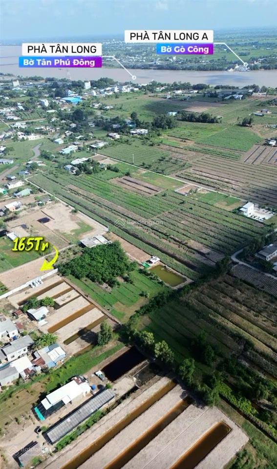 Đất thổ cư trung tâm chợ phú thạnh gần phà tân long  tân phú đông tg giá  165 triệu/nền