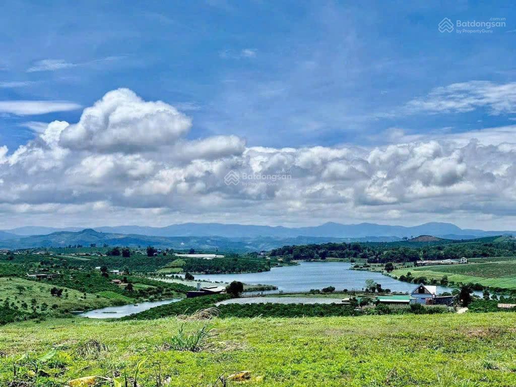 Đất view hồ phúc thọ lâm hà 347m2 có 100m2 thổ cư chỉ 680tr