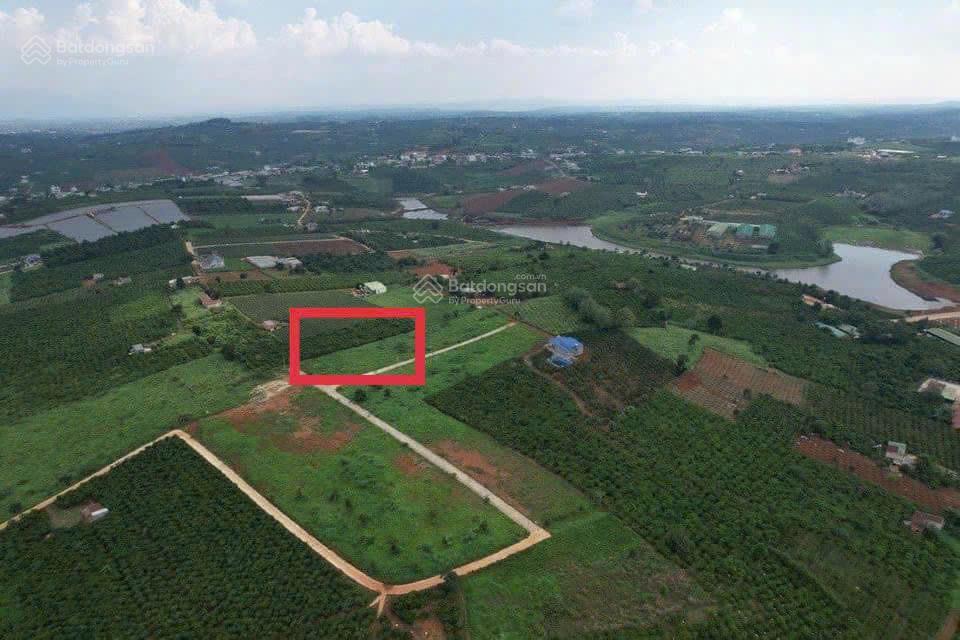 Đất view hồ phúc thọ lâm hà 347m2 có 100m2 thổ cư chỉ 680tr