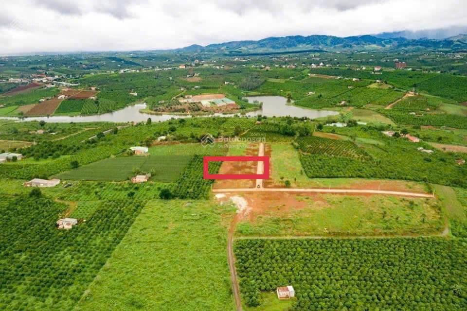 Đất view hồ phúc thọ lâm hà 347m2 có 100m2 thổ cư chỉ 680tr