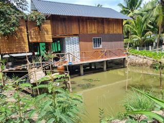 Nhà vườn trên ao thuần chất miệt vườn miền tây  giá 799 triệu trọn gói cả nhà và đất