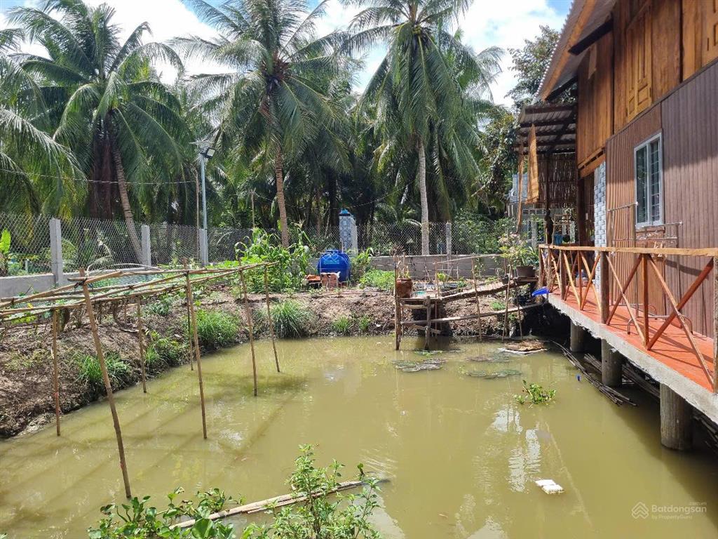 Nhà vườn trên ao thuần chất miệt vườn miền tây  giá 799 triệu trọn gói cả nhà và đất