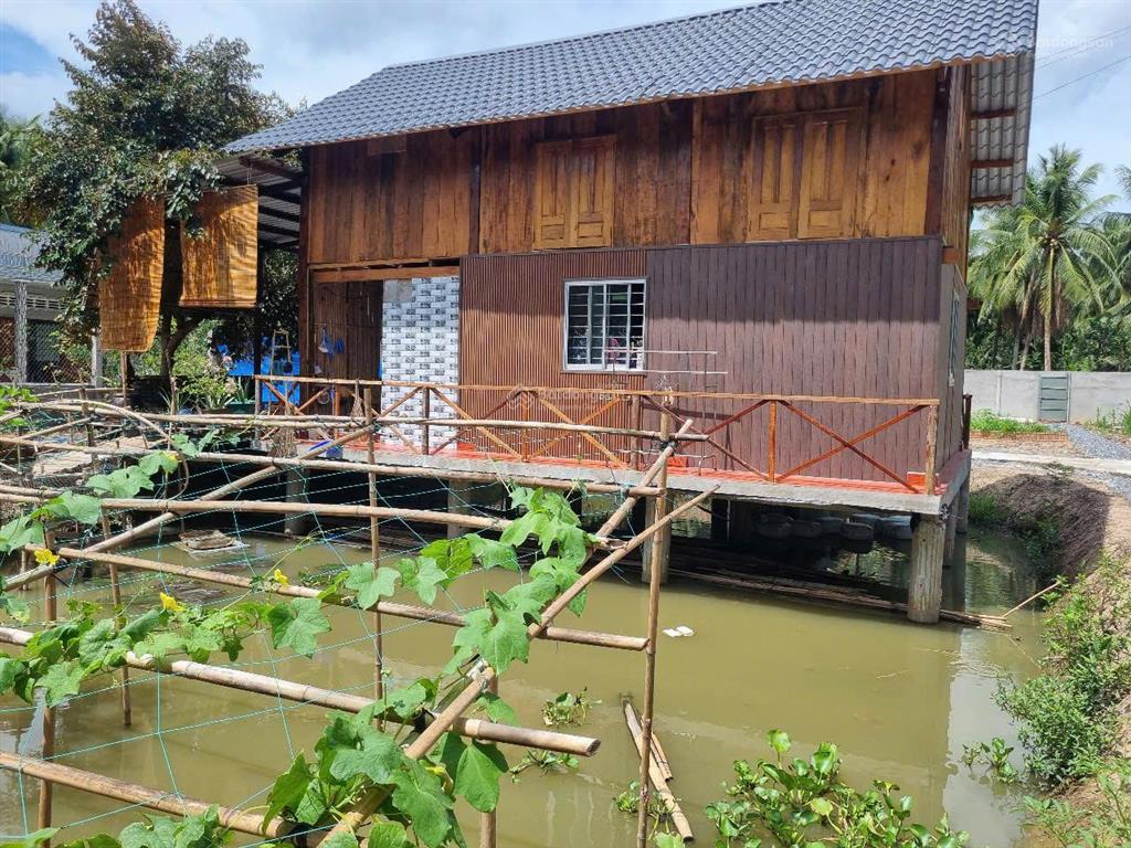 Nhà vườn trên ao thuần chất miệt vườn miền tây  giá 799 triệu trọn gói cả nhà và đất