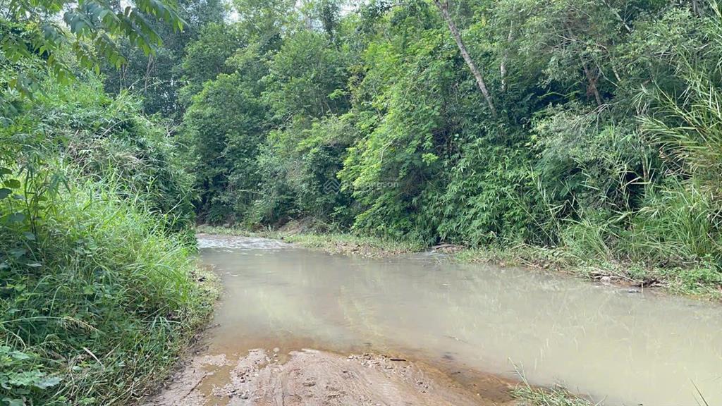 75 triệu có ngay 1.913m2 giáp suối tại đồng xuân phú yên
