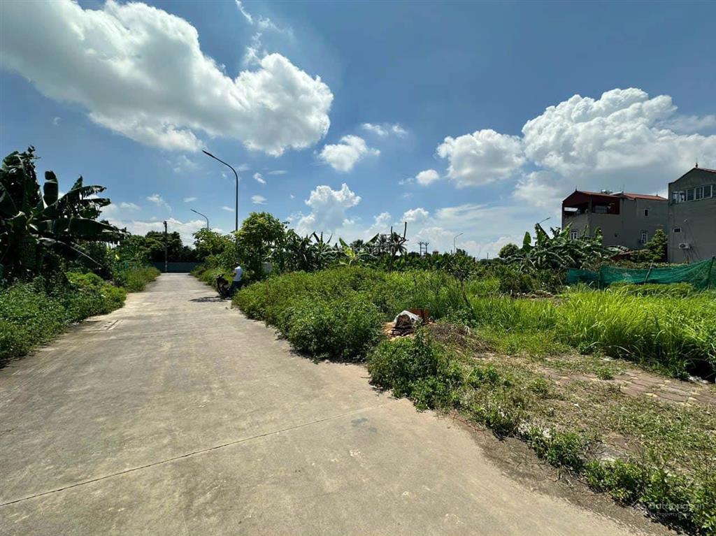 Chính chủ bán đất đấu giá hội phụ, dt 80m2, mt 5m, cạnh trung tâm triển lãm, vin cổ loa, giá rẻ