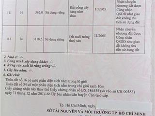 Bán đất mặt tiền đường hà quang vóc dt 3728.5m2. có sẵn thổ cư 48m đường 10m