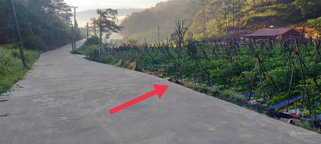 Đất cửa ngõ đà lạt, gần cao tốc, kdl thác prenn, thích hợp nghỉ dưỡng hay đầu tư