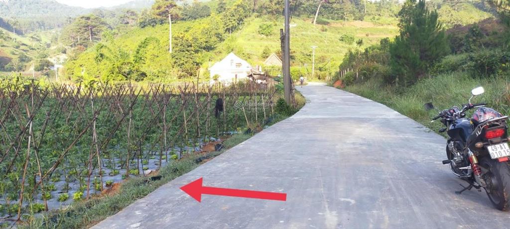 Đất cửa ngõ đà lạt, gần cao tốc, kdl thác prenn, thích hợp nghỉ dưỡng hay đầu tư