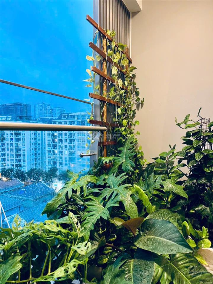Cho thuê cc midtown m7 phú mỹ hưng, 39 triệu vnd, 80m2, 2pn, 2wc, hàng hiếm tại quận 7