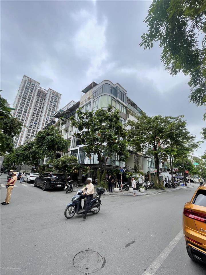Cho thuê biệt thự thô lô góc lô góc the zei lê đức thọ mỹ đình, 295m2, mt 30m giá 100tr quá đẹp