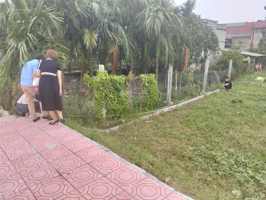 Chính chủ bán cắt lỗ lô đất mặt đường trục chính tại mỹ đức (không tiếp môi giới)