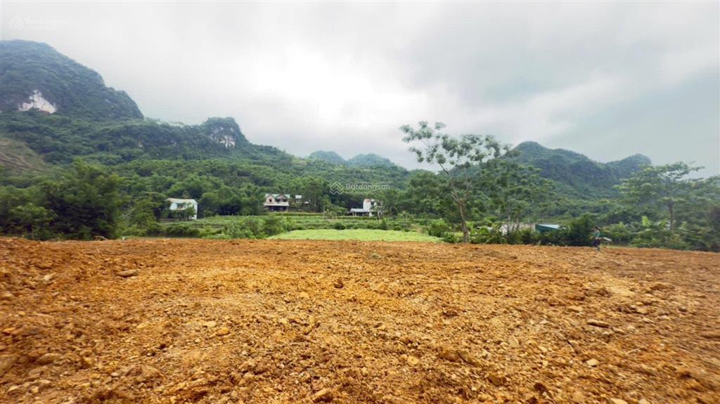 Cần bán diện tích 3.370m2 có 400m2 thổ cư, sổ đỏ nét công chứng trong ngày