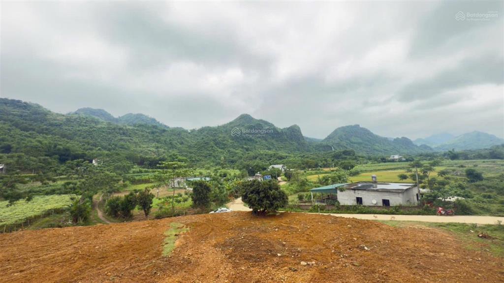 Cần bán diện tích 3.370m2 có 400m2 thổ cư, sổ đỏ nét công chứng trong ngày