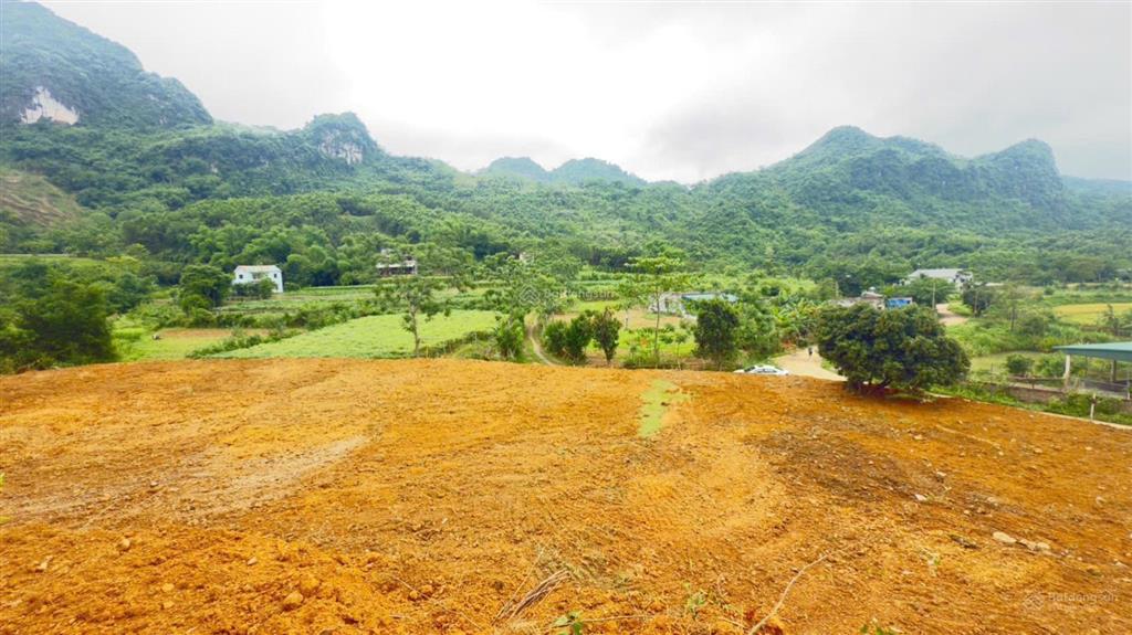 Cần bán diện tích 3.370m2 có 400m2 thổ cư, sổ đỏ nét công chứng trong ngày