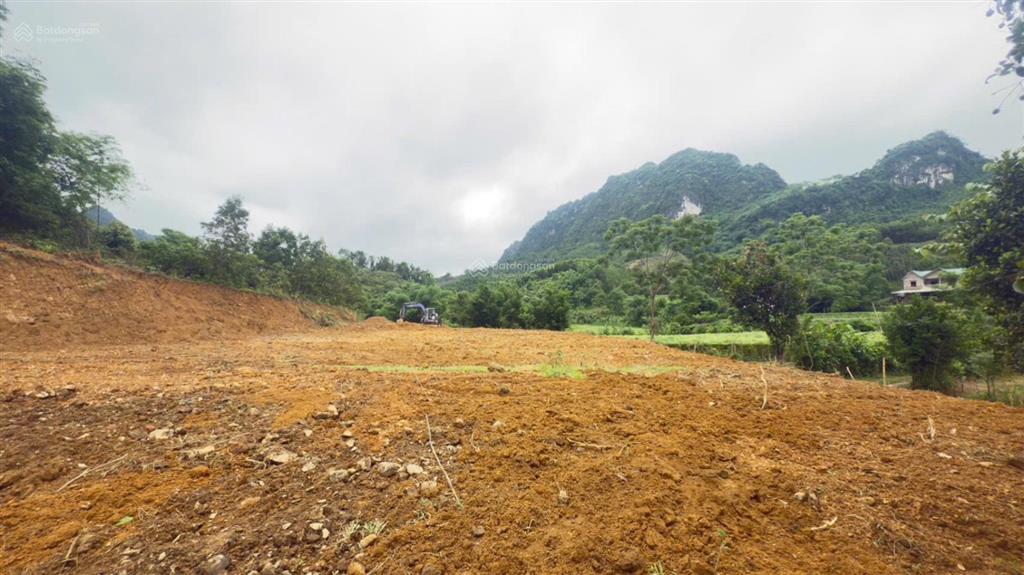 Cần bán diện tích 3.370m2 có 400m2 thổ cư, sổ đỏ nét công chứng trong ngày