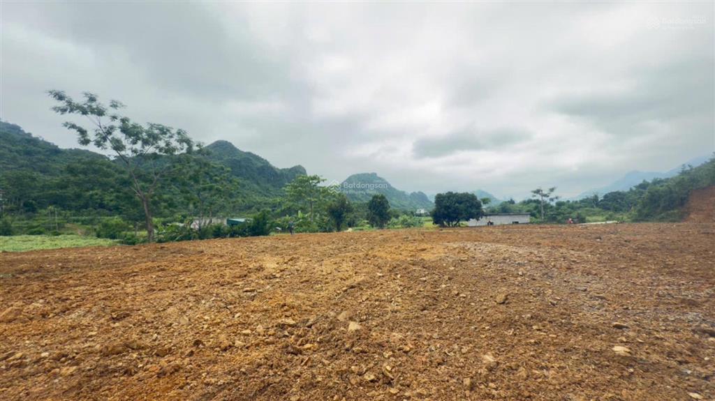 Cần bán diện tích 3.370m2 có 400m2 thổ cư, sổ đỏ nét công chứng trong ngày