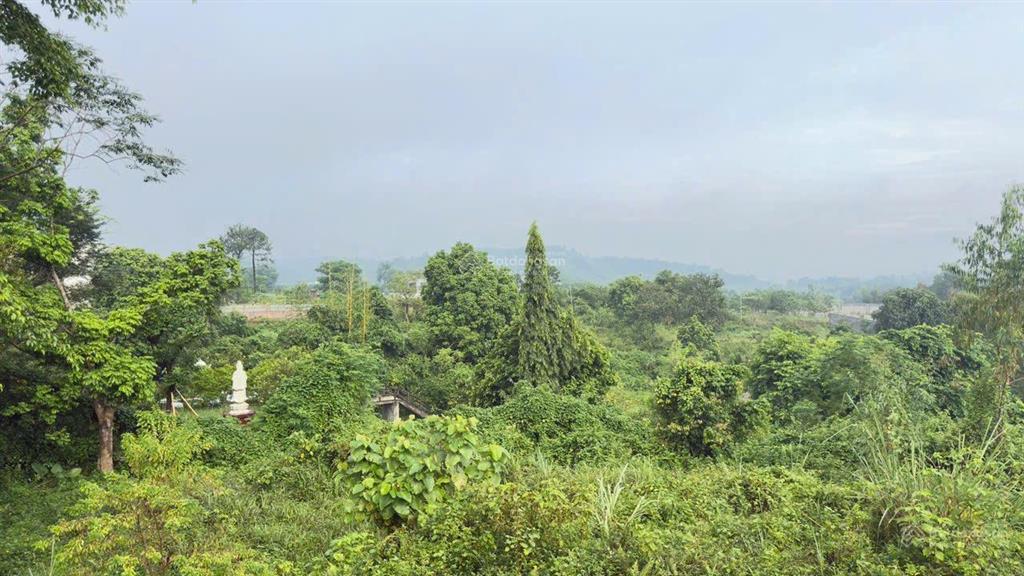 Cần bán lô đất nghỉ dưỡng vị trí vàng tổng dt 915 (200m thổ cư)