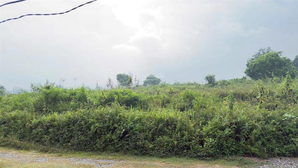 Cần bán lô đất nghỉ dưỡng vị trí vàng tổng dt 915 (200m thổ cư)