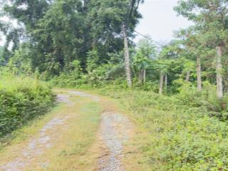 Cần bán lô đất nghỉ dưỡng vị trí vàng tổng dt 915 (200m thổ cư)