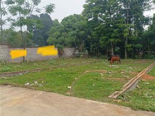 Chỉ với 12ty bạn đã sở hữu lô đất đẹp diện tích 197m2 thổ cư 50m2 gồm đất ở và đất vườn