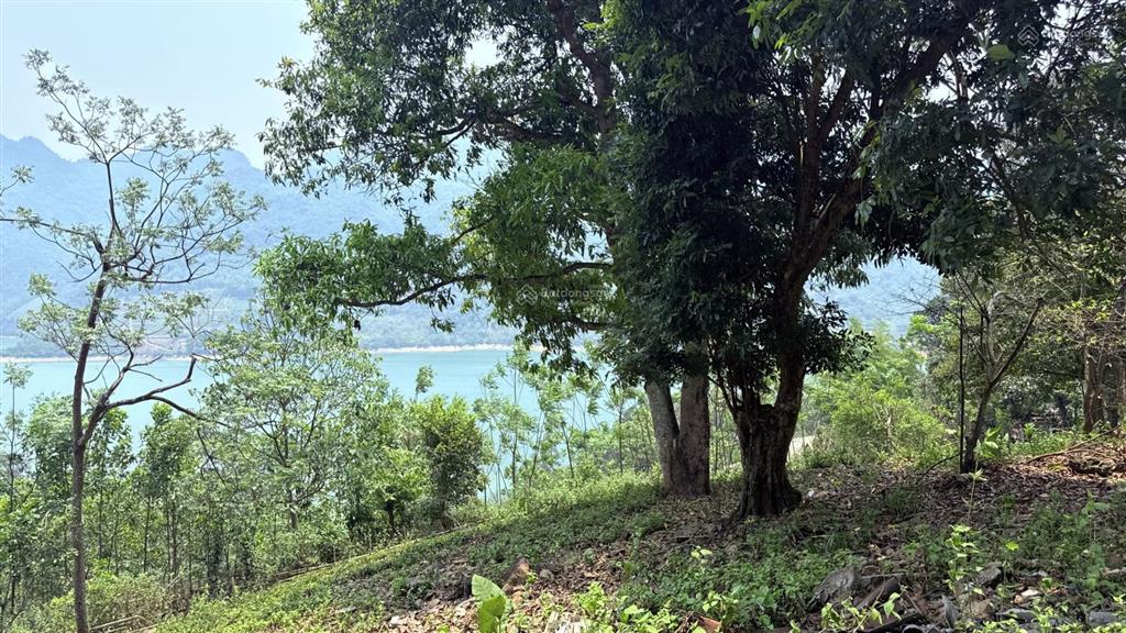 Bán lô đất view hồ hoà bình đẹp 5,4ha tại yên hoà đà bắc ,hoà bình( nay là phú thọ)