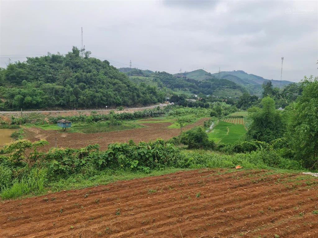 Tổng diện tích 10,300m (=1,3ha cách ql chỉ 200m
giá rẻ chỉ hơn 3tỷ sỡ hữu toàn bộ diện tích