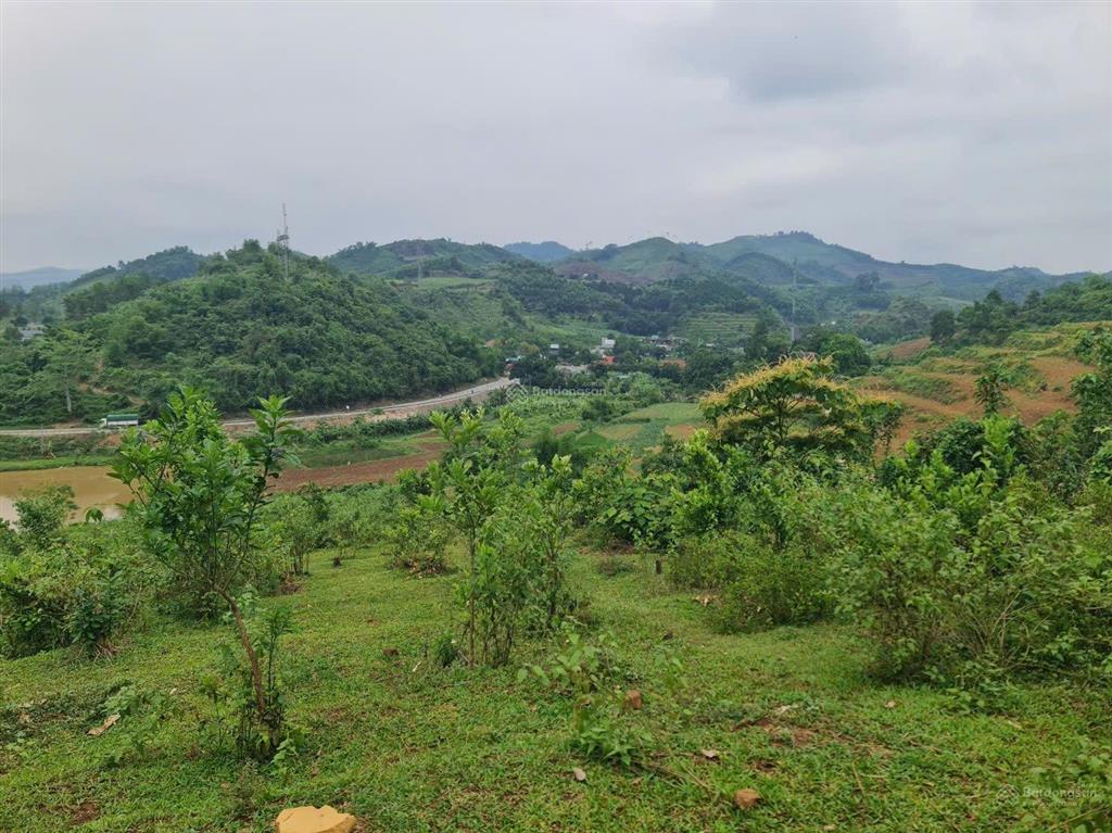 Tổng diện tích 10,300m (=1,3ha cách ql chỉ 200m
giá rẻ chỉ hơn 3tỷ sỡ hữu toàn bộ diện tích