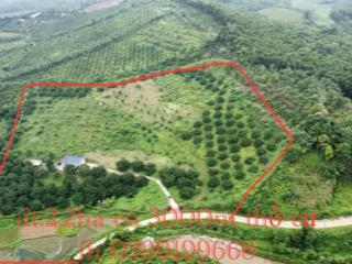 Bán gấp siêu phẩm đất tân lạc hòa bình (có tận 3077m đất ở)