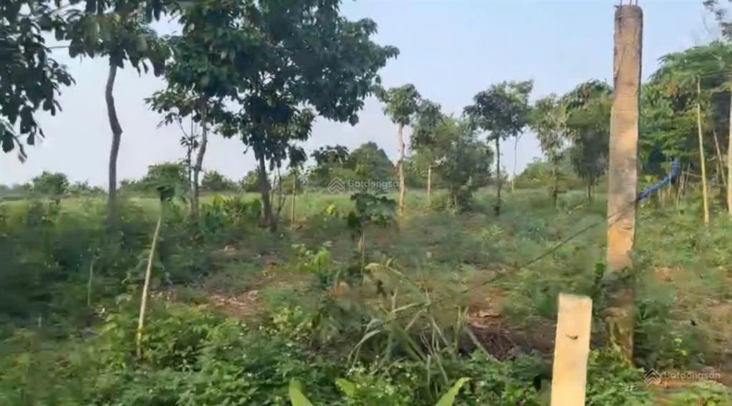 Đất đẹp giá rẻ tại kim bôi hòa bình, diện tích hơn 600m2