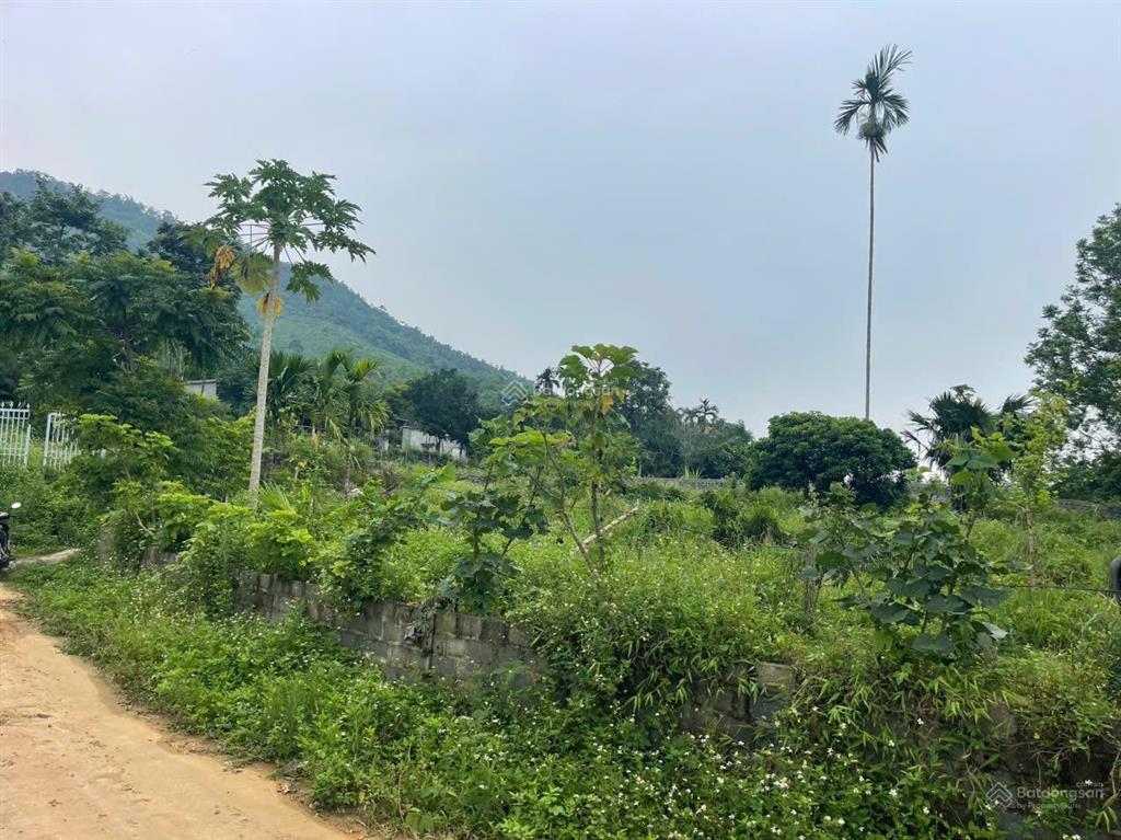 Cần chuyển nhượng diện tích 1373m có 200m thổ cư. còn lại cây lâu năm tại kim bôi.
