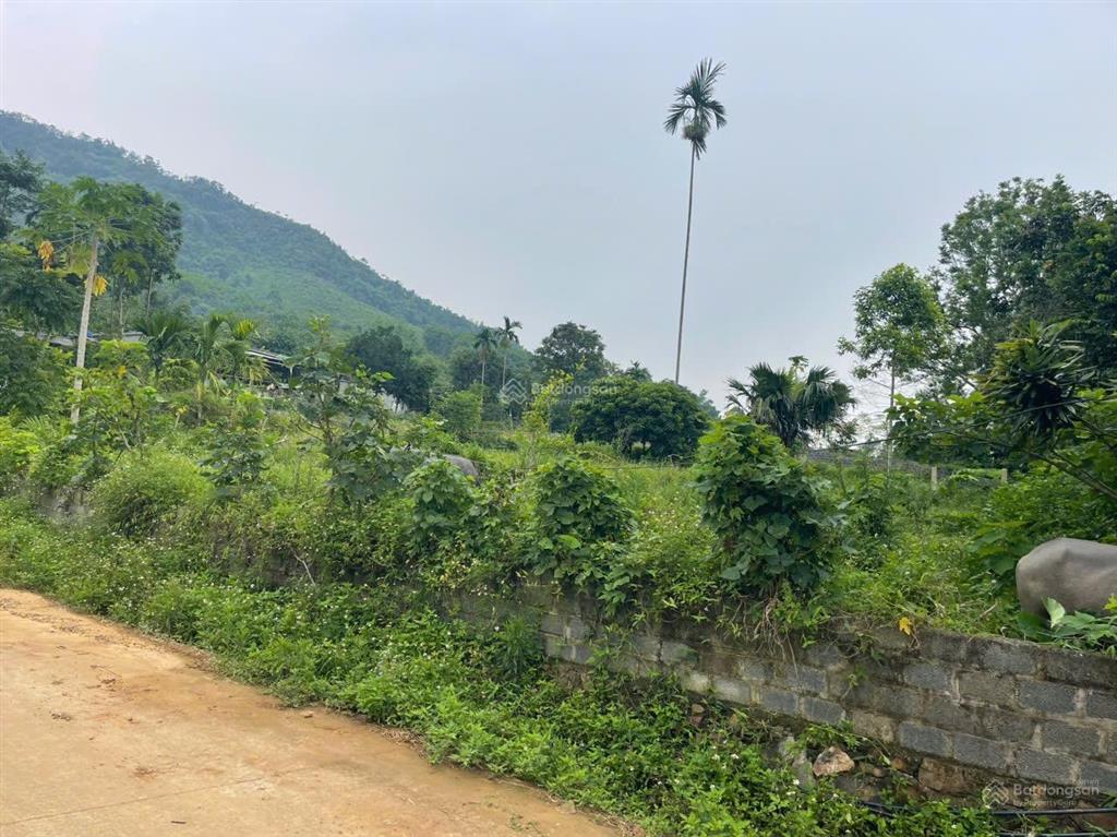 Cần chuyển nhượng diện tích 1373m có 200m thổ cư. còn lại cây lâu năm tại kim bôi.
