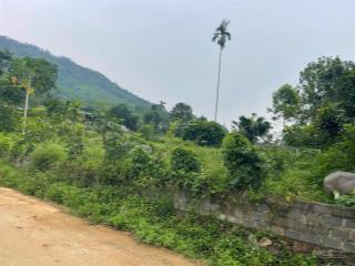 Cần chuyển nhượng diện tích 1373m có 200m thổ cư. còn lại cây lâu năm tại kim bôi.