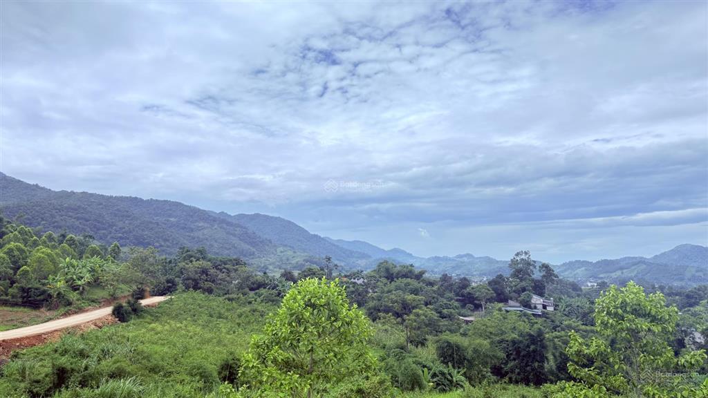 Cần bán 1422m2 đất tại cao phong, hòa bình