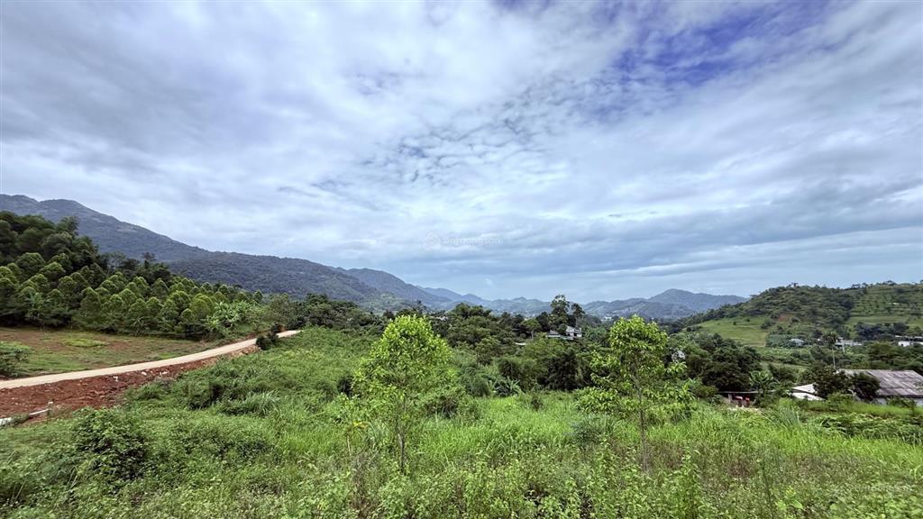 Cần bán 1422m2 đất tại cao phong, hòa bình