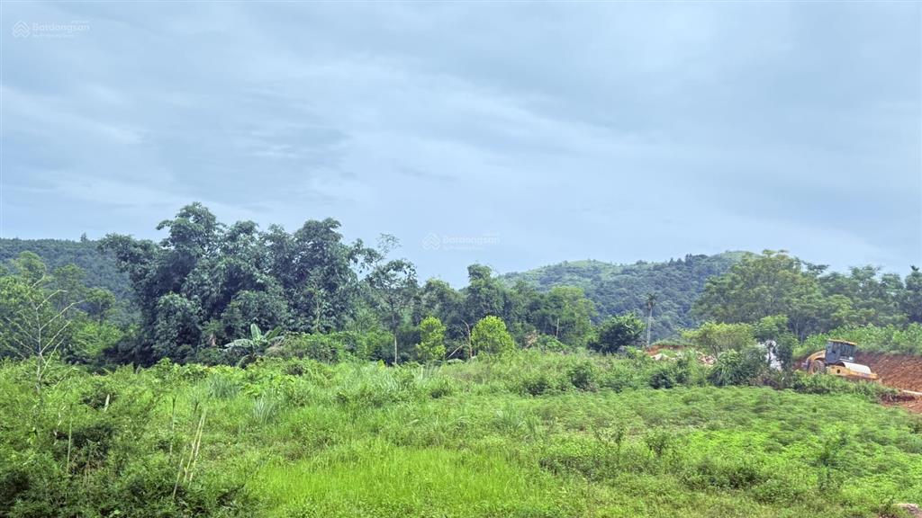 Cần bán 1422m2 đất tại cao phong, hòa bình