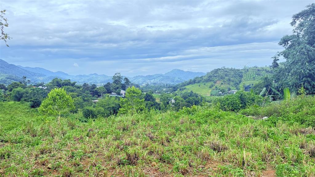 Cần bán 1422m2 đất tại cao phong, hòa bình