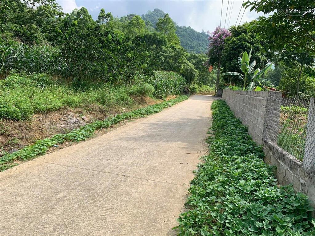 Cần bán lô đất 4366m2 tại đà bắc. cách cao tốc hà nội mộc châu chỉ 200m
