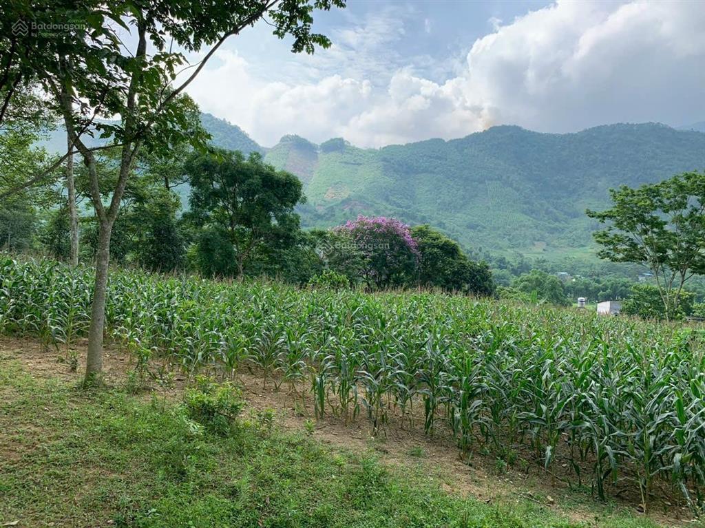 Cần bán lô đất 4366m2 tại đà bắc. cách cao tốc hà nội mộc châu chỉ 200m
