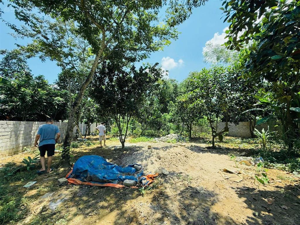 Cần chuyển nhượng 601m2 đất tại kim bôi, hoà bình
