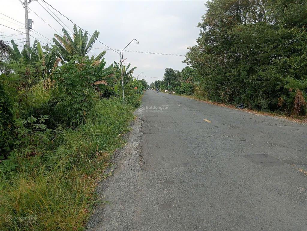Bán đất tại tỉnh lộ 865, hưng thạnh, tân phước, tiền giang, 2,19 tỷ, 612,8 m2