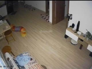 Cho thuê căn hộ ssh09 hà quang 1  diện tích 57m² (2 phòng ngủ 2 wc)